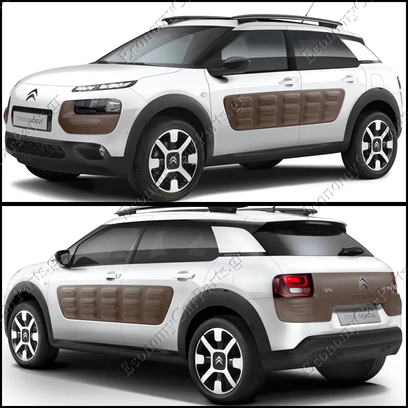 C4 CACTUS (0B/0P) 2014-2018