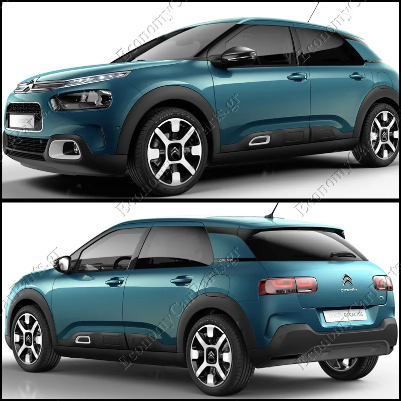 C4 CACTUS (0B/0P) 2018-->