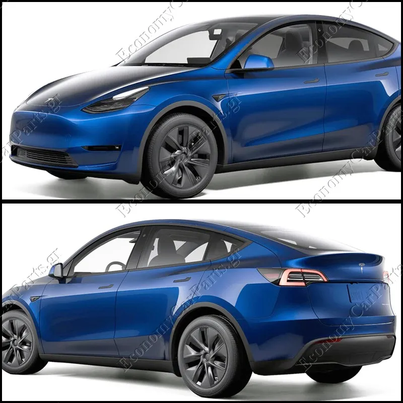 MODEL Y