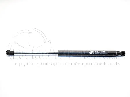 ΑΜΟΡΤΙΣΕΡ ΜΠΑΓΚΑΖ CABRIO (MARELLI)