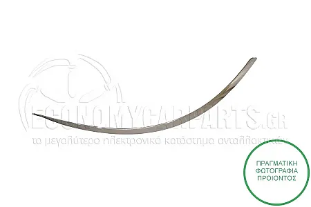 ΧΡΩΜΙΟ ΦΑΣΑΣ ΠΡΟΦΥΛΑΚΤΗΡΑ ΠΙΣΩ ΑΚΡΑΙΟ
