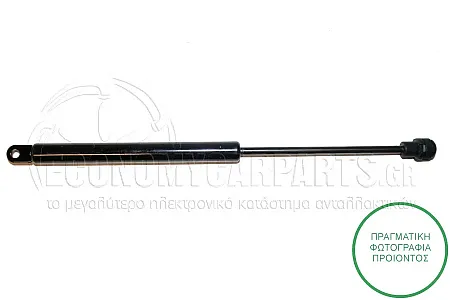 ΑΜΟΡΤΙΣΕΡ ΠΙΣΩ ΠΑΡΜΠΡΙΖ (310L-255N)