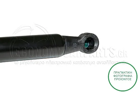 ΑΜΟΡΤΙΣΕΡ ΠΙΣΩ ΠΑΡΜΠΡΙΖ (355L-115N) (MARELLI)