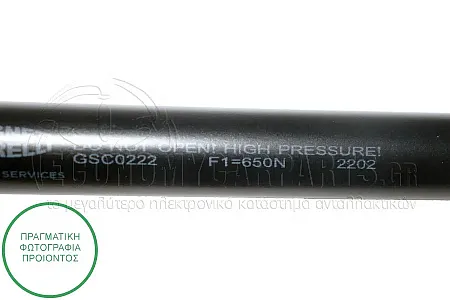 ΑΜΟΡΤΙΣΕΡ ΜΠΑΓΚΑΖ (298L-650N) (MARELLI)