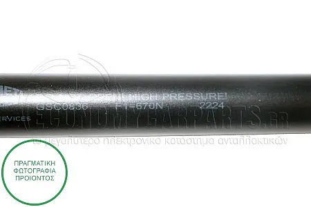 ΑΜΟΡΤΙΣΕΡ ΜΠΑΓΚΑΖ (605L-605N) (MARELLI)