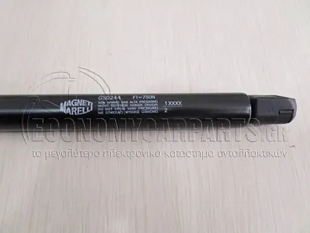 ΑΜΟΡΤΙΣΕΡ ΜΠΑΓΚΑΖ (567L - 660N)(MARELLII)