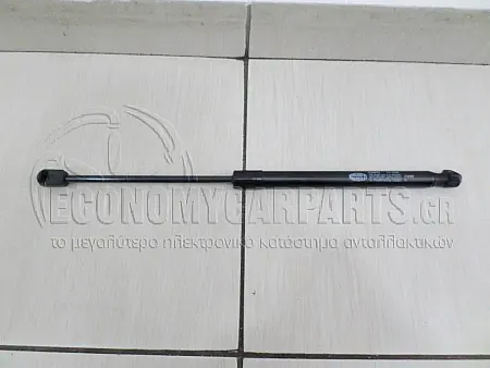 ΑΜΟΡΤΙΣΕΡ ΜΠΑΓΚΑΖ  (MARELLI)