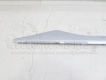 ΔΙΑΚΟΣΜΗΤΙΚΟ ΦΑΣΑΣ ΠΟΡΤΑΣ ΠΙΣΩ (ΧΡΩΜΙΟ)