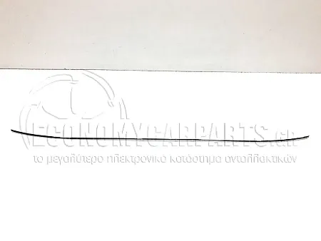 ΧΡΩΜΙΟ ΦΑΣΑΣ ΠΡΟΦΥΛΑΚΤΗΡΑ ΠΙΣΩ ΜΕΣΑΙΟ 2006-2009