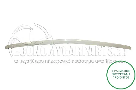 ΔΙΑΚΟΣΜΗΤΙΚΟ ΔΙΧΤΥΟΥ ΠΡΟΦΥΛΑΚΤΗΡΑ ΕΜΠΡΟΣ 2008-2012 (ΓΙΑ ΕΚΔΟΣΕΙΣ: CLASIC/ELEGANCE)